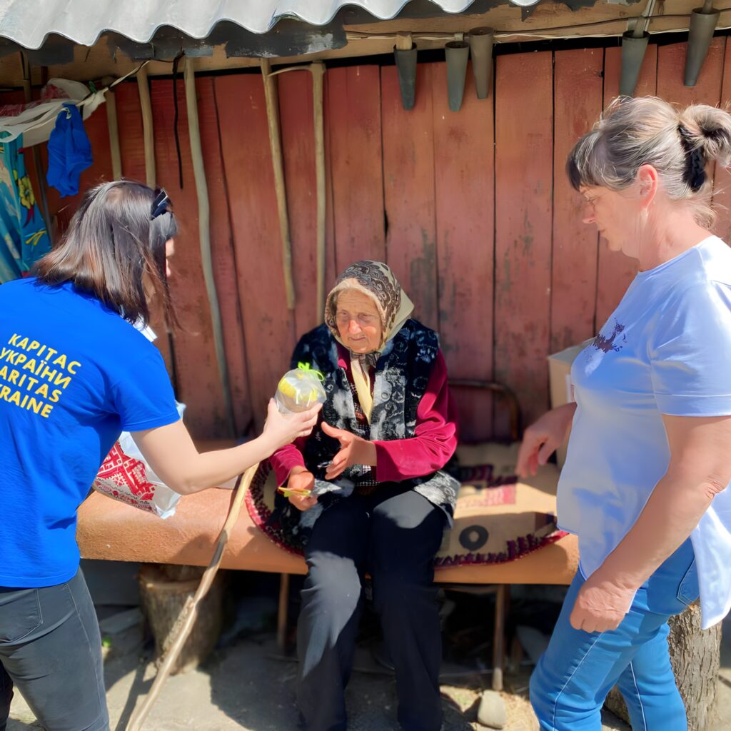 Домашня опіка